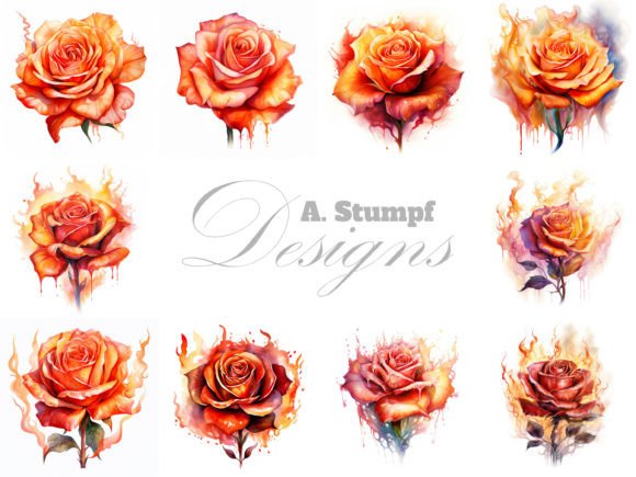 Download Burning Rose Clipart Botanical Painting - Botanical painting Collection